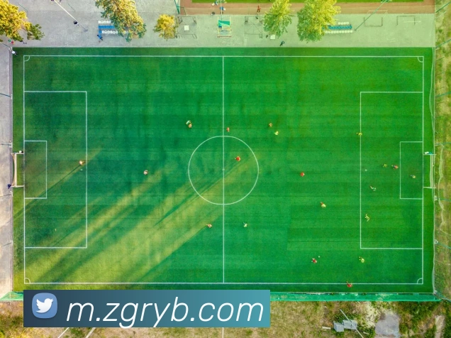 yabo亚博APP 封面图